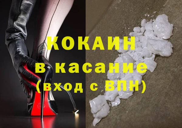гидра Богданович