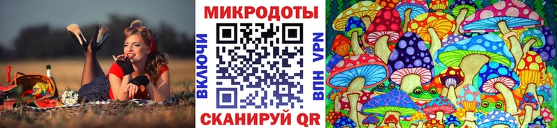 Купить где  Семилуки  Галлюциногенные грибы мицелий 